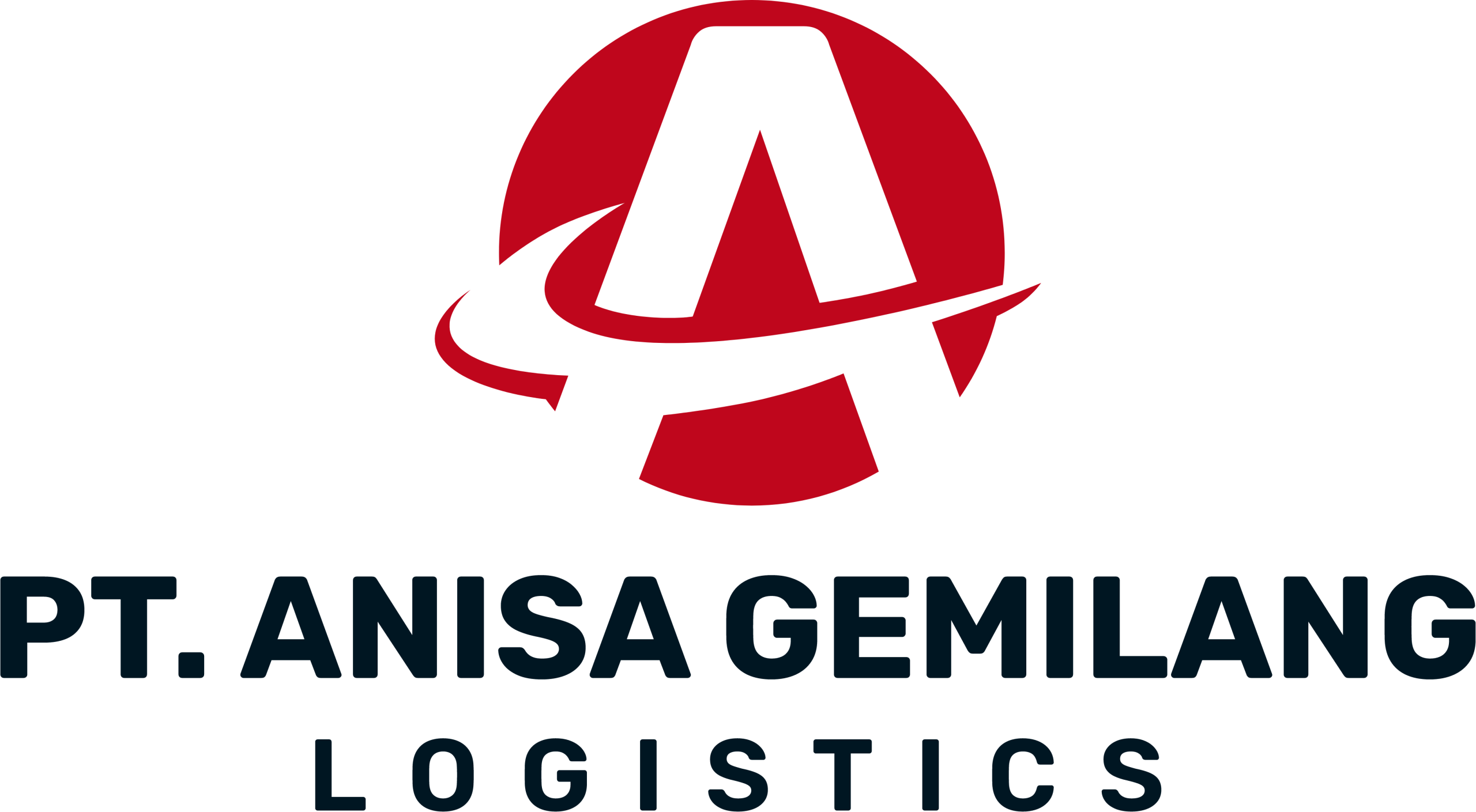 Logo Anisa